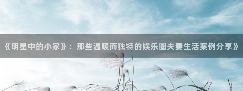 恩佐娱乐