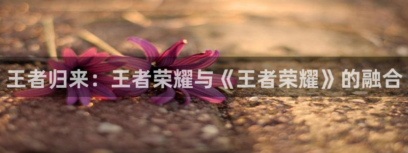 恩佐娱乐