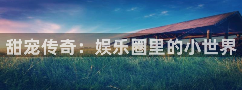 恩佐娱乐