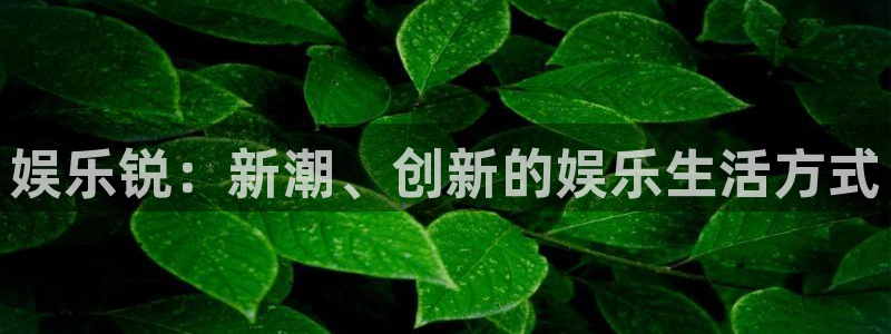 恩佐娱乐