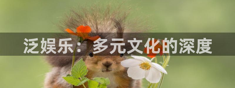 恩佐娱乐