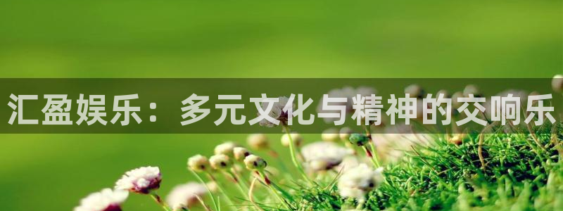 恩佐娱乐