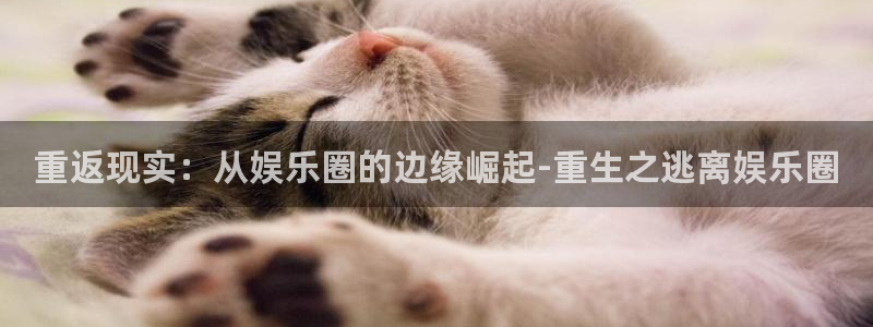 恩佐娱乐