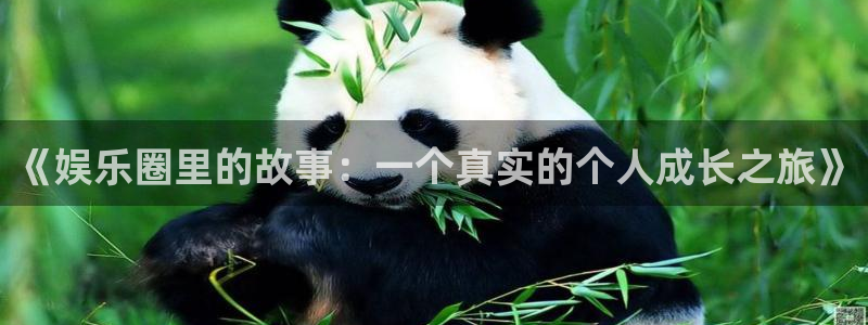 恩佐娱乐