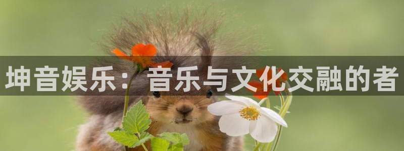 恩佐娱乐