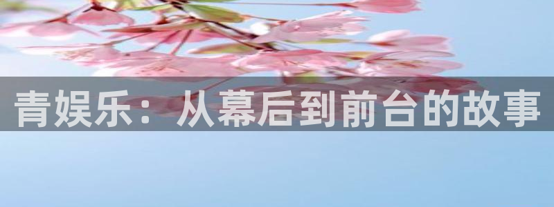 恩佐娱乐